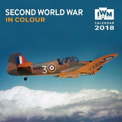 Imperial War Museum - Second World War Wall Calendar 2018 (Art Calendar) - 