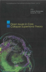 Open Issues In Core Collapse Supernova Theory - 