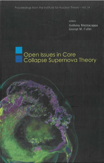 Open Issues In Core Collapse Supernova Theory - 