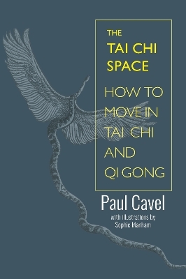 The Tai Chi Space - Paul Cavel