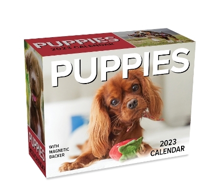 Puppies 2023 Mini Day-to-Day Calendar -  Andrews McMeel Publishing