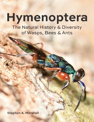 Hymenoptera - Stephen A Marshall