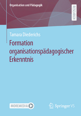 Formation organisationspädagogischer Erkenntnis - Tamara Diederichs