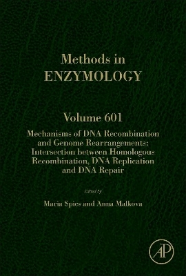 Mechanisms of DNA Recombination and Genome Rearrangements: Intersection Between Homologous Recombination, DNA Replication and DNA Repair - 