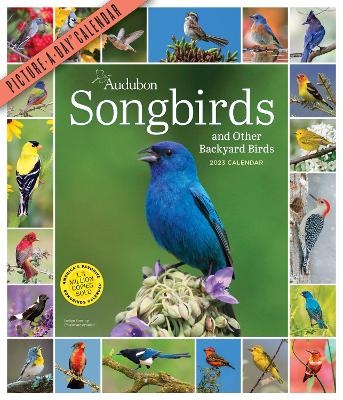 Audubon Songbirds and Other Backyard Birds Picture-A-Day Wall Calendar 2023 -  Workman Calendars,  National Audubon Society