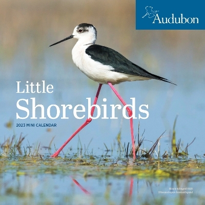 Audubon Little Shorebirds Mini Wall Calendar 2023 -  Workman Calendars,  National Audubon Society