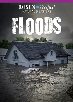 Floods - Benjamin Proudfit