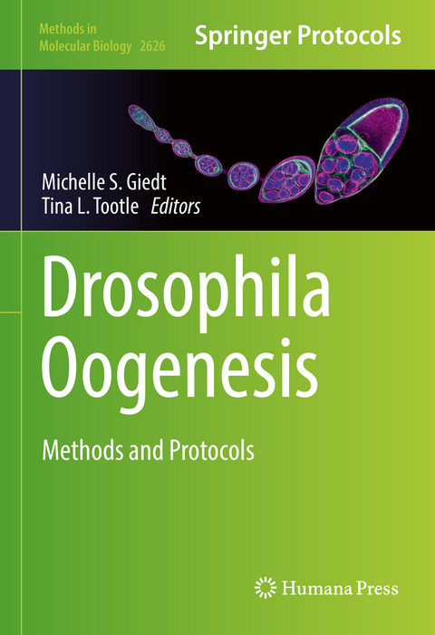 Drosophila Oogenesis - 