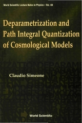 DEPARAMETRIZATION & PATH INTEGRAL..(V69) - Claudio Simeone