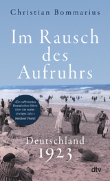 Im Rausch des Aufruhrs - Christian Bommarius