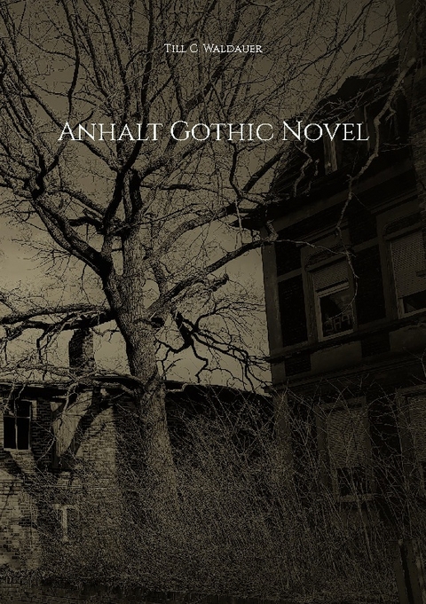 Anhalt Gothic Novel - Till C. Waldauer