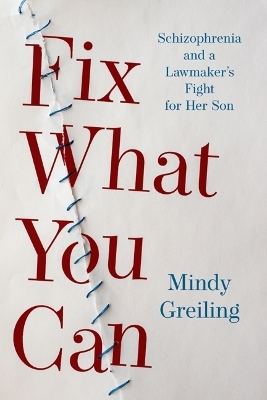 Fix What You Can - Mindy Greiling