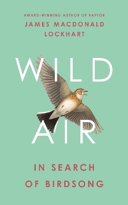 Wild Air - James Macdonald Lockhart