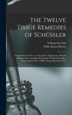 The Twelve Tissue Remedies of Schüssler - Willis Alonzo Dewey, William Boericke