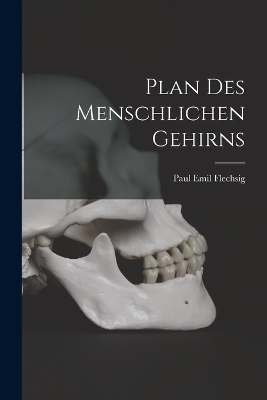 Plan Des Menschlichen Gehirns - Paul Emil Flechsig