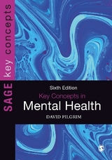 Key Concepts in Mental Health - Pilgrim, David