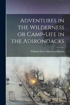 Adventures in the Wilderness or Camp-Life in the Adirondacks - William Henry Harrison Murray