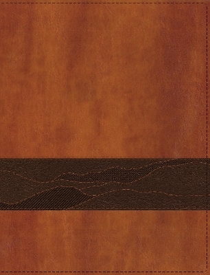 Rooted: The NIV Bible for Men, Leathersoft, Brown, Comfort Print