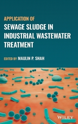 Application of Sewage Sludge in Industrial Wastewater Treatment - 