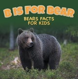 B is for Bear: Bears Facts For Kids -  Baby Professor