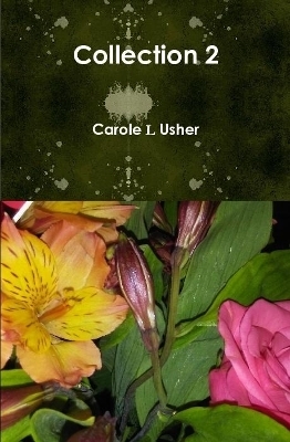 Collection 2 - Carole Usher