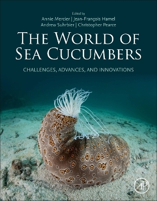 The World of Sea Cucumbers - 