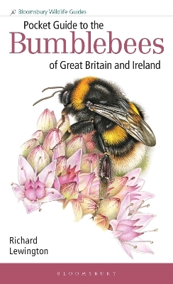 Pocket Guide to the Bumblebees of Great Britain and Ireland - Richard Lewington