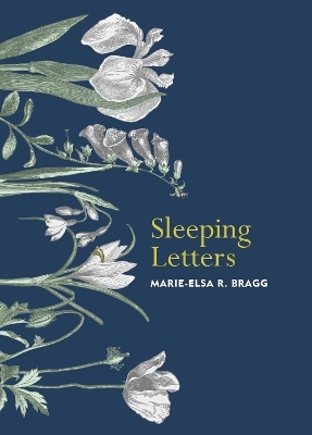 Sleeping Letters - Marie-Elsa R. Bragg