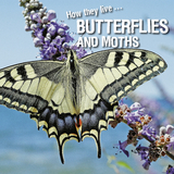 How they live... Butterflies and Moths - Ivan Esenko, David Withrington