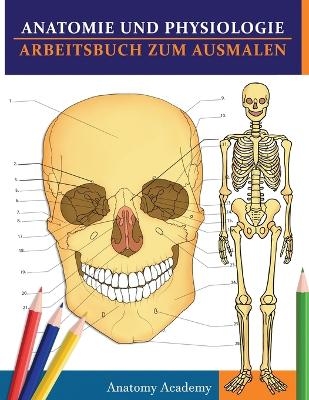 Anatomie und Physiologie Arbeitsbuch zum Ausmalen - Anatomy Academy