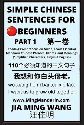 Simple Chinese Sentences for Beginners (Part 1) - Idioms and Phrases for Beginners (HSK All Levels) - Jia Ming Wang