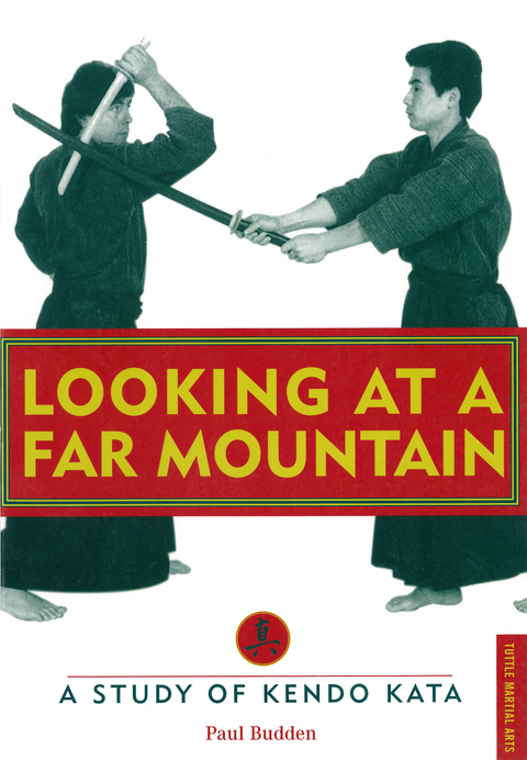 Looking at a Far Mountain - Revisited - Paul Budden