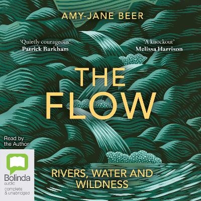 The Flow - Amy-Jane Beer