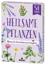 Blatt & Blüte Heilsame Pflanzen - Bärbel Oftring