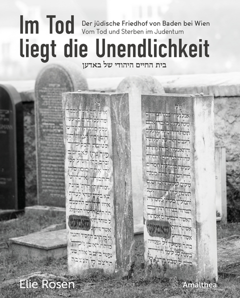 Im Tod liegt die Unendlichkeit - Elie Rosen