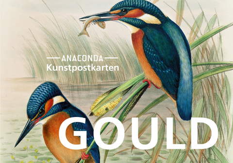 Postkarten-Set John Gould - 