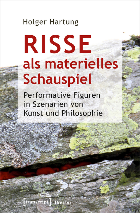 Risse als materielles Schauspiel - Holger Hartung