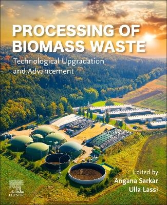 Processing of Biomass Waste - 