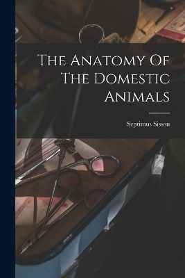 The Anatomy Of The Domestic Animals - Septimus Sisson