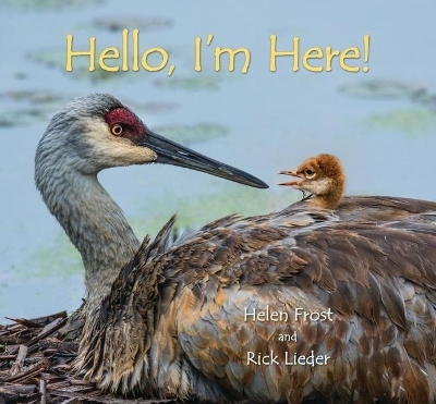 Hello, I'm Here! - Helen Frost