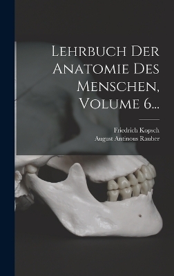 Lehrbuch Der Anatomie Des Menschen, Volume 6... - August Antinous Rauber, Friedrich Kopsch