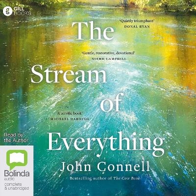 The Stream of Everything - John Connell