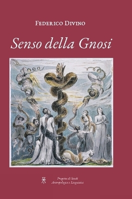 Senso della Gnosi - Federico Divino