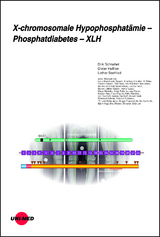 X-chromosomale Hypophosphatämie - Phosphatdiabetes - XLH - Dirk Schnabel, Dieter Haffner, Lothar Seefried