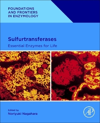 Sulfurtransferases - 