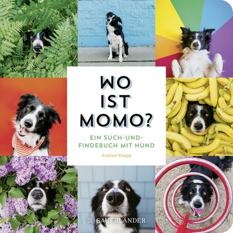 Wo ist Momo? - Andrew Knapp