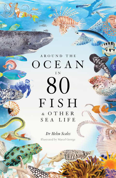 Around the Ocean in 80 Fish and other Sea Life - Helen Scales