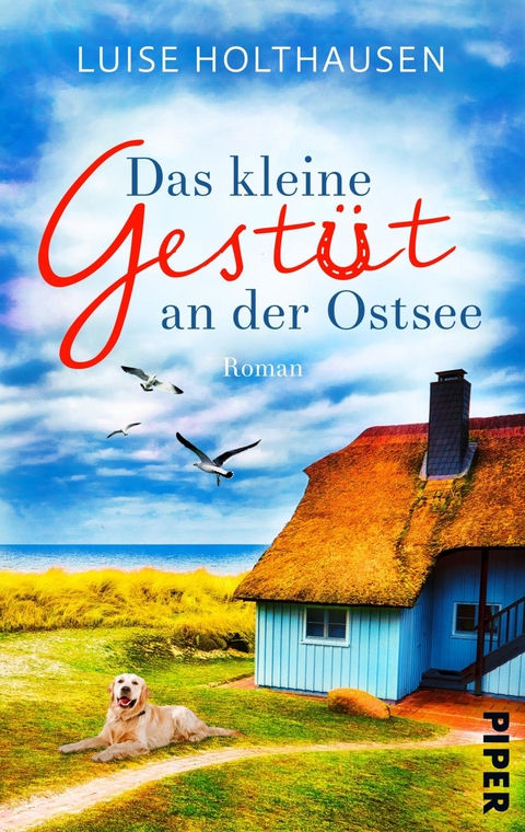 Das kleine Gestüt an der Ostsee - Luise Holthausen