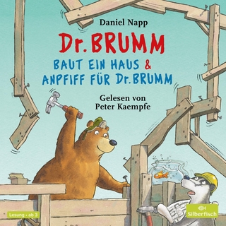 Dr. Brumm baut ein Haus / Anpfiff für Dr. Brumm (Dr. Brumm) - Daniel Napp; Peter Kaempfe