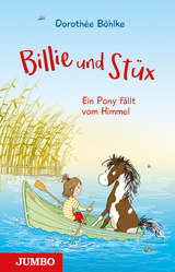 Billie & Stüx. Ein Pony fällt vom Himmel - Dorothée Böhlke